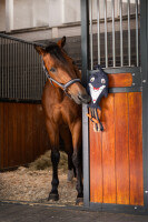 Eskadron Pferdespielzeug Dolphin Classic Sports 26 S/S