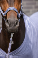 Eskadron Halfter Softshell Jewel Dp Classic Sports 26 S/S