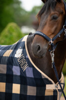 Eskadron Halfter Sparkle Double Pin Classic Sports 26 S/S