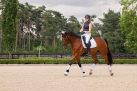 Eskadron Gamaschen Softshell Jewel Classic Sports 26 S/S