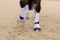 Eskadron Sprungglocken Softslate Classic Sports 26 S/S