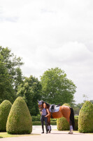 Eskadron Shirt Tank Half-Zip Classic Sports 26 S/S