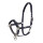 Eskadron Halfter Control Pin Buckle Basics